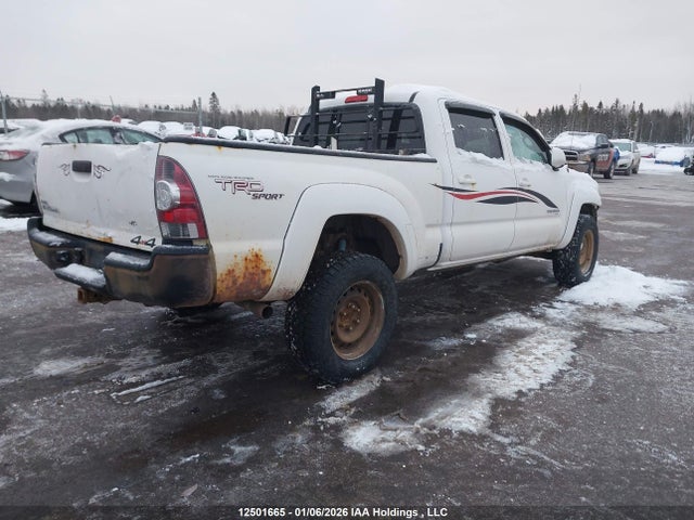 12501665 :رقم المزاد ، 5TEMU52N88Z504092 vin ، 2008 Toyota Tacoma Base V6 مزاد بيع