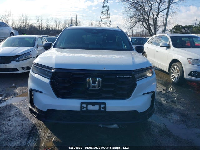 5FNYG1H87PB503731 Honda Pilot