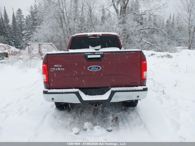 12501904 :رقم المزاد ، 1FTFX1EF6GFB06016 vin ، 2016 Ford F-150 Xlt مزاد بيع