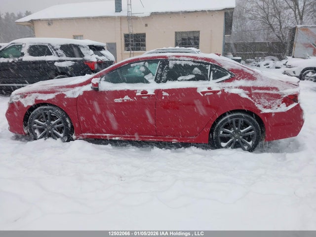 Aukcja sprzedaży 2019 Acura Tlx Technology/a-spec, vin: 19UUB3F65KA802129, numer aukcji: 12502066