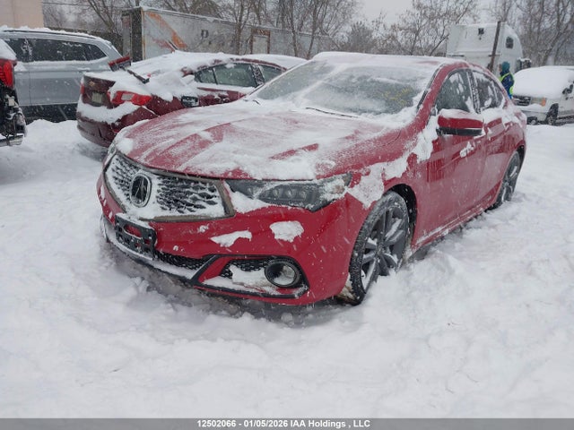 Aukcja sprzedaży 2019 Acura Tlx Technology/a-spec, vin: 19UUB3F65KA802129, numer aukcji: 12502066