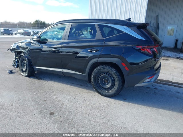 Aukcja sprzedaży 2025 Hyundai Tucson Sel, vin: 3KMJBCDE2SE027181, numer aukcji: 12502099