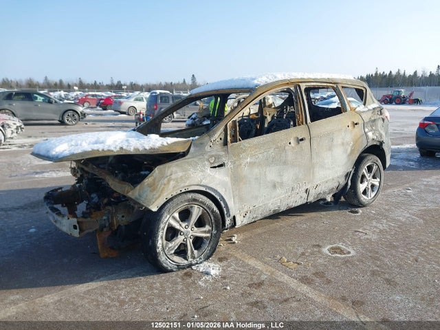 1FMCU0GX7GUA86460 Ford ESCAPE SE