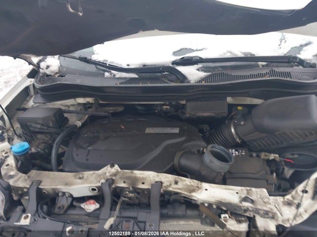 5FNYF6H95GB503784 Honda Pilot