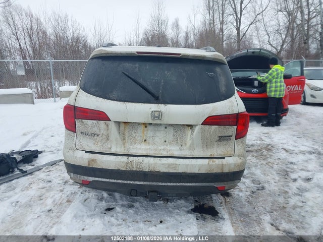 5FNYF6H95GB503784 Honda Pilot