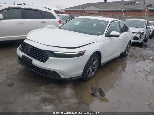 1HGCY1F38PA801682 Honda ACCORD EX