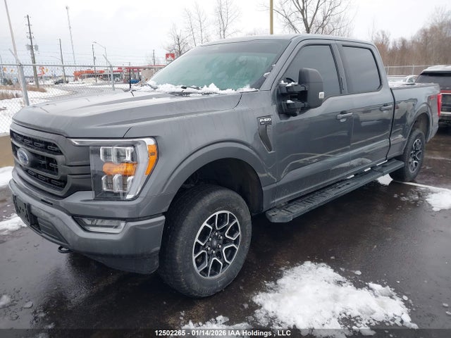 1FTFW1E50PFC30986 Ford F-150 Xlt