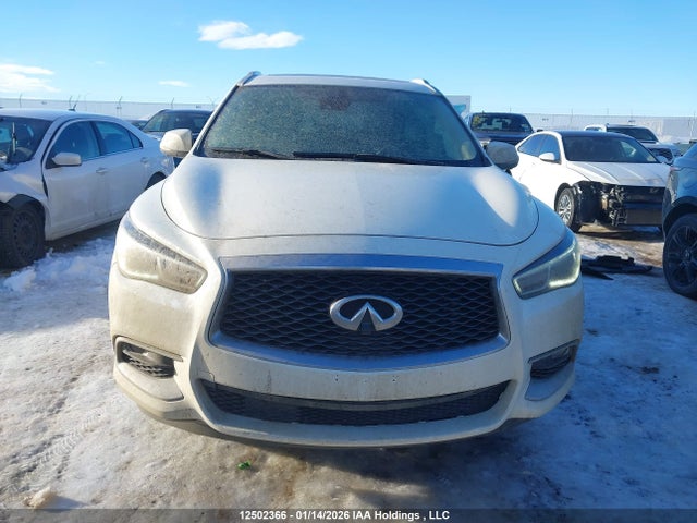 5N1DL0MM6KC505530 Infiniti QX60 PURE