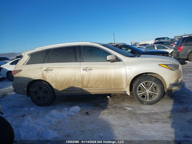 5N1DL0MM6KC505530 Infiniti QX60 PURE
