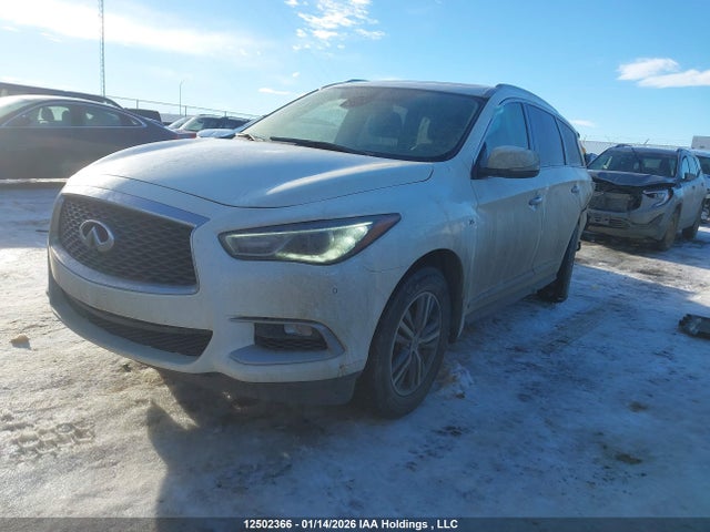 5N1DL0MM6KC505530 Infiniti QX60 PURE