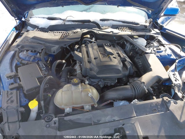 1FATP8UH1J5173317 Ford Mustang Convertible