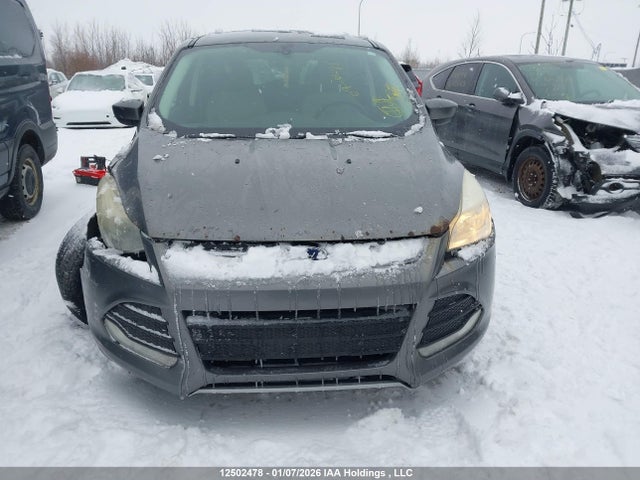 1FMCU9GX7EUD46874 Ford Escape