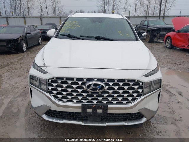Продаж на аукціоні авто 2021 Hyundai Santa Fe Preferred Awd, vin: 5NMS3DAJ2MH339461, номер лоту: 12502569