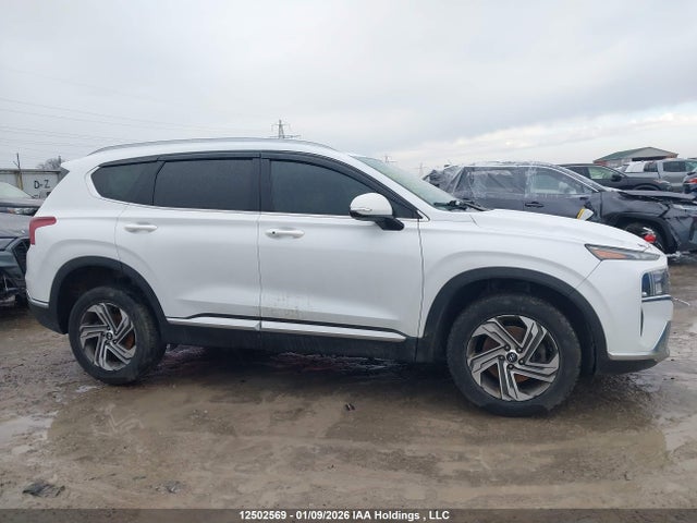 Продаж на аукціоні авто 2021 Hyundai Santa Fe Preferred Awd, vin: 5NMS3DAJ2MH339461, номер лоту: 12502569