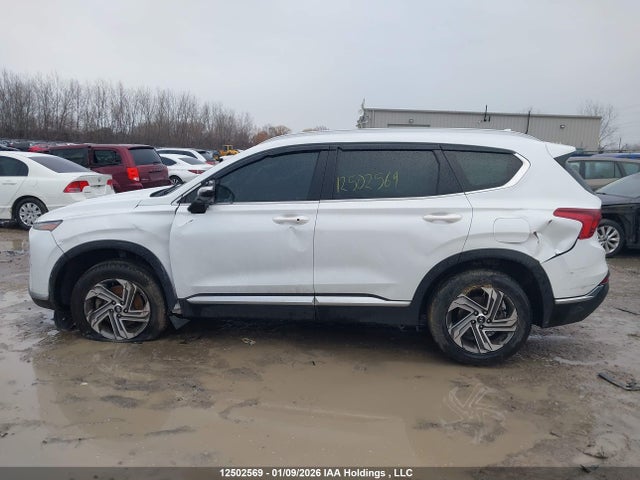 Продаж на аукціоні авто 2021 Hyundai Santa Fe Preferred Awd, vin: 5NMS3DAJ2MH339461, номер лоту: 12502569