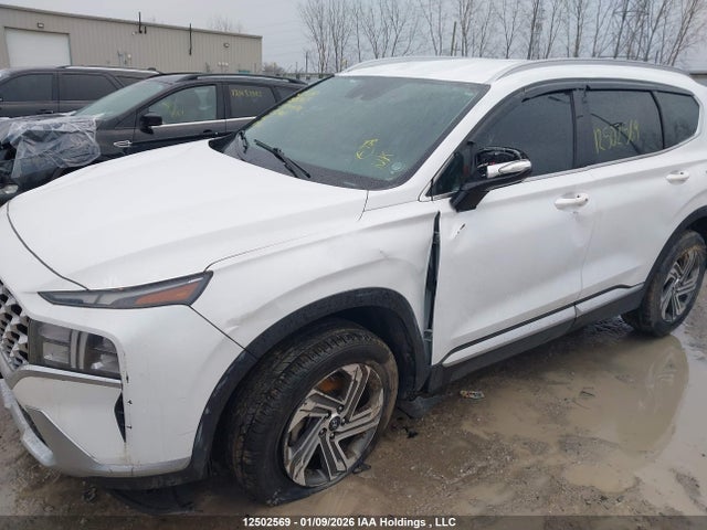 Продаж на аукціоні авто 2021 Hyundai Santa Fe Preferred Awd, vin: 5NMS3DAJ2MH339461, номер лоту: 12502569