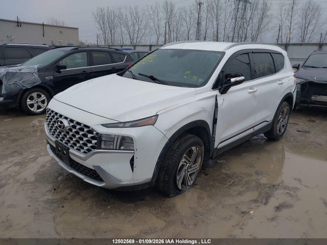 Продаж на аукціоні авто 2021 Hyundai Santa Fe Preferred Awd, vin: 5NMS3DAJ2MH339461, номер лоту: 12502569