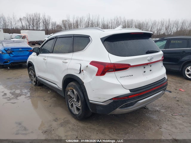 Продаж на аукціоні авто 2021 Hyundai Santa Fe Preferred Awd, vin: 5NMS3DAJ2MH339461, номер лоту: 12502569
