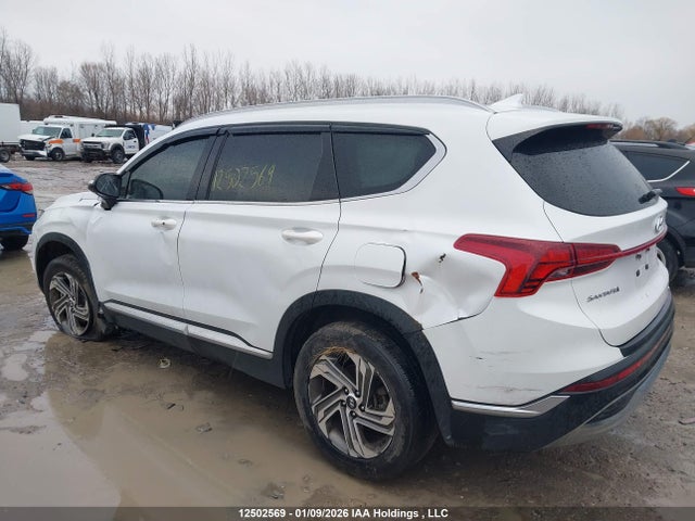 Продаж на аукціоні авто 2021 Hyundai Santa Fe Preferred Awd, vin: 5NMS3DAJ2MH339461, номер лоту: 12502569