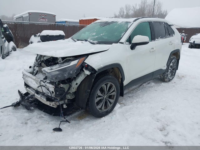 2T3RWRFV8RW236031 Toyota RAV4