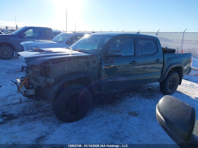 5TFCZ5AN9LX217035 Toyota Tacoma