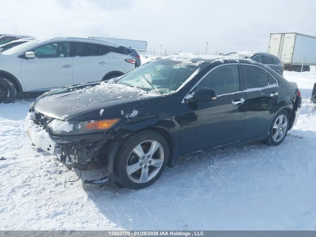 12502770 :رقم المزاد ، JH4CU2F42CC800338 vin ، 2012 Acura Tsx مزاد بيع