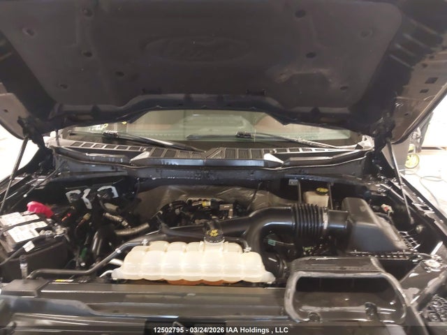 12502795 :رقم المزاد ، 1FTEW1EP5MFB65500 vin ، 2021 Ford F150 Supercrew مزاد بيع