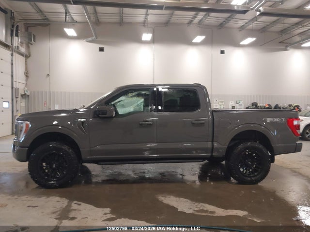12502795 :رقم المزاد ، 1FTEW1EP5MFB65500 vin ، 2021 Ford F150 Supercrew مزاد بيع