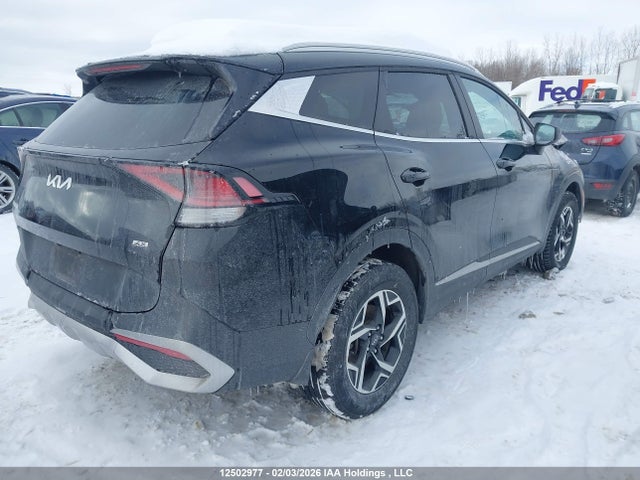 Продажа на аукционе авто 2024 Kia Sportage Lx, vin: KNDPUCDF1R7296749, номер лота: 12502977