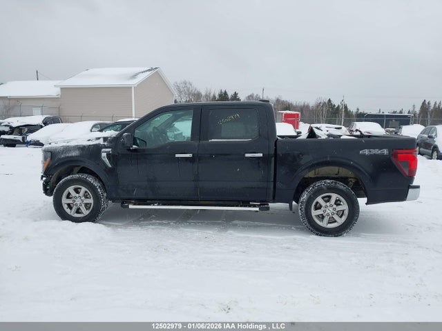 Aukcja sprzedaży 2025 Ford F150 Xlt, vin: 1FTFW3L8XSKD12278, numer aukcji: 12502979