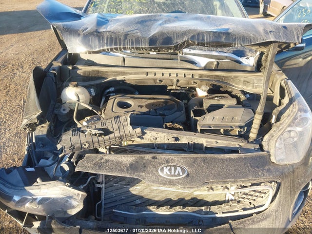 KNDPNCAC5J7313998 KIA Sportage