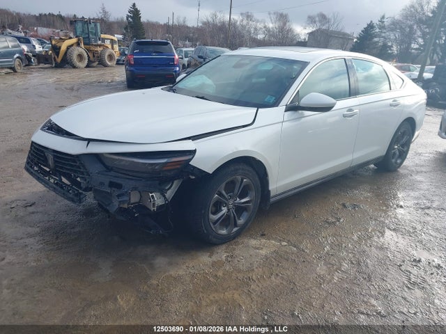 1HGCY1F39PA800394 Honda ACCORD EX