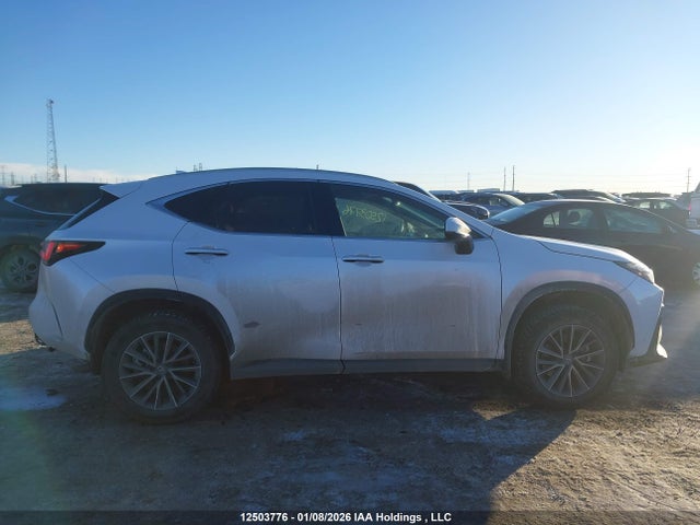 Lexus NX 350 2025 2T2GGCEZ4SC063948 Image 14