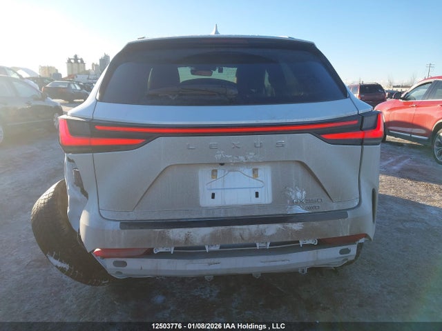 Lexus NX 350 2025 2T2GGCEZ4SC063948 Image 17