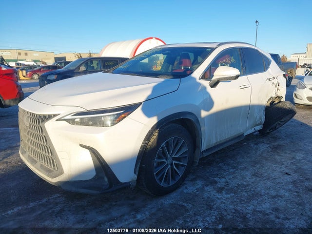 Lexus NX 350 2025 2T2GGCEZ4SC063948 Image 2