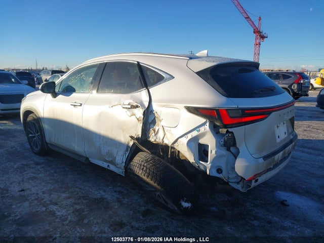 Lexus NX 350 2025 2T2GGCEZ4SC063948 Image 3