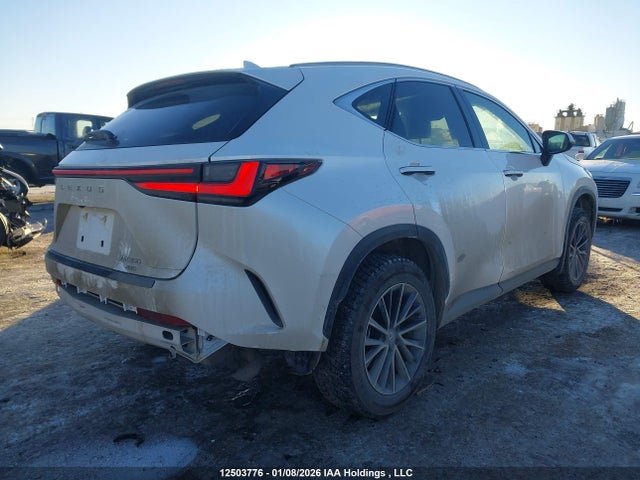 Lexus NX 350 2025 2T2GGCEZ4SC063948 Image 4