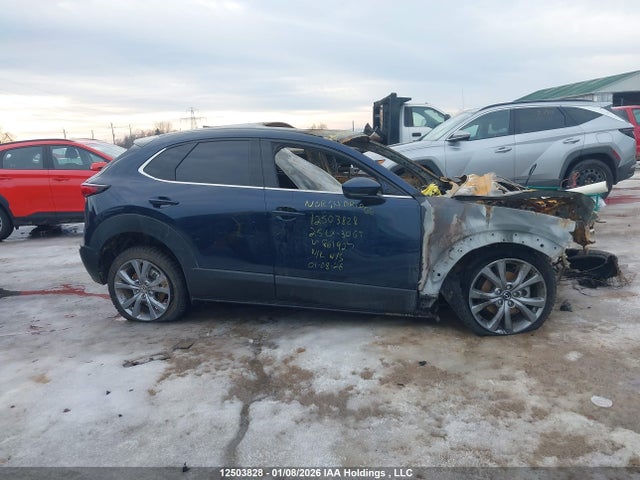 Mazda Cx-30 Gt 2025 3MVDMBDM1SM861927 Image 13