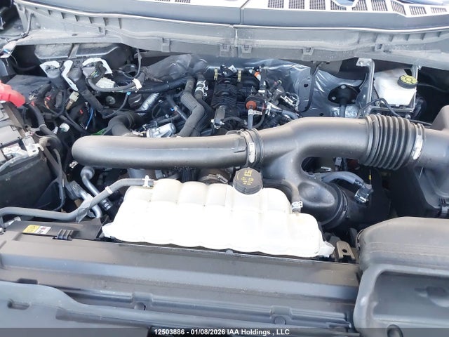 12503886 :رقم المزاد ، 1FTFW4L86RFA77077 vin ، 2024 Ford F150 مزاد بيع