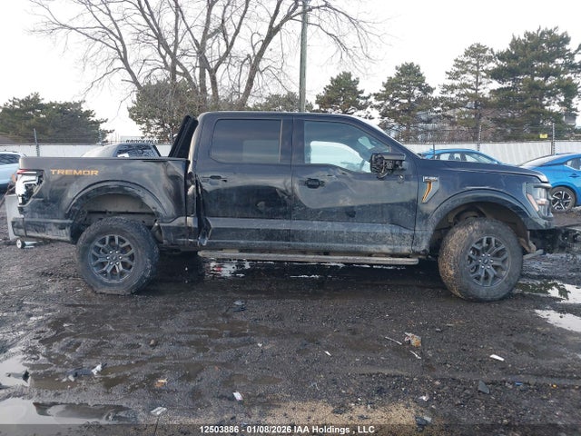 12503886 :رقم المزاد ، 1FTFW4L86RFA77077 vin ، 2024 Ford F150 مزاد بيع