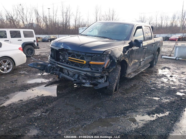 12503886 :رقم المزاد ، 1FTFW4L86RFA77077 vin ، 2024 Ford F150 مزاد بيع