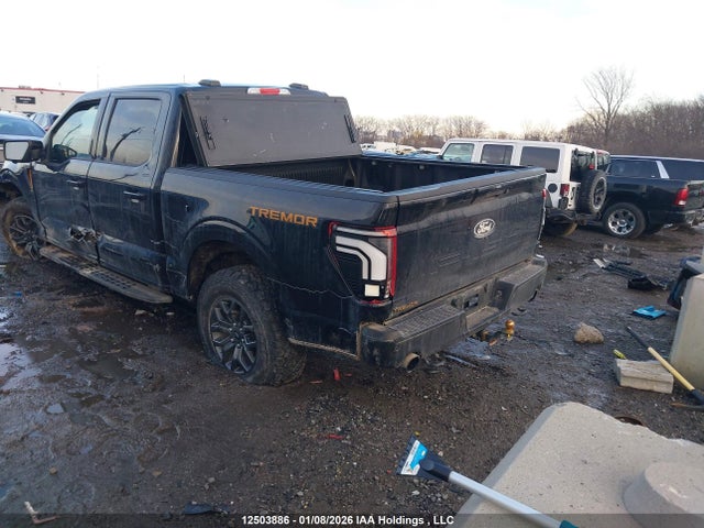 12503886 :رقم المزاد ، 1FTFW4L86RFA77077 vin ، 2024 Ford F150 مزاد بيع