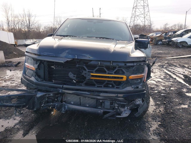 12503886 :رقم المزاد ، 1FTFW4L86RFA77077 vin ، 2024 Ford F150 مزاد بيع