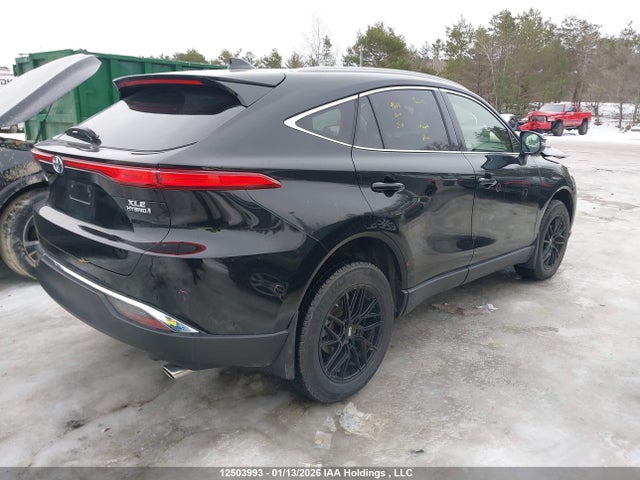 Toyota Venza Xle 2022 JTEAAAAH5NJ115931 Image 4