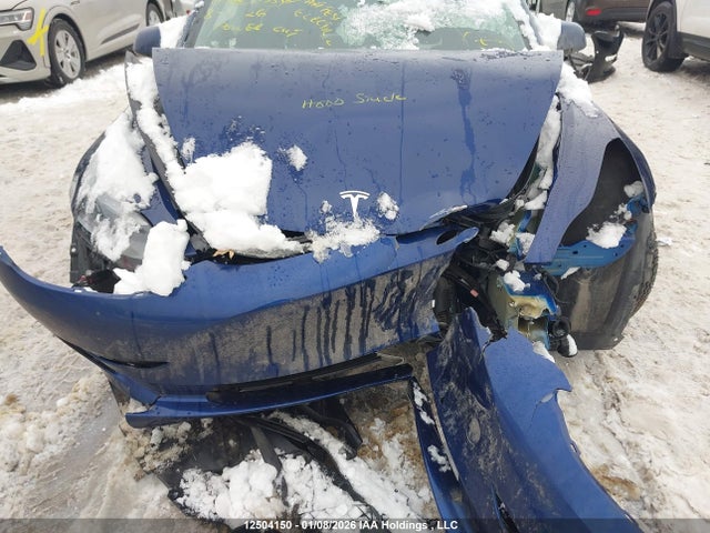 Tesla MODEL 3 2021 5YJ3E1EA5MF016286 Image 6