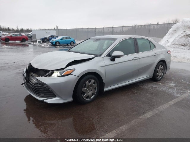 4T1B11HK4JU039259 Toyota Camry