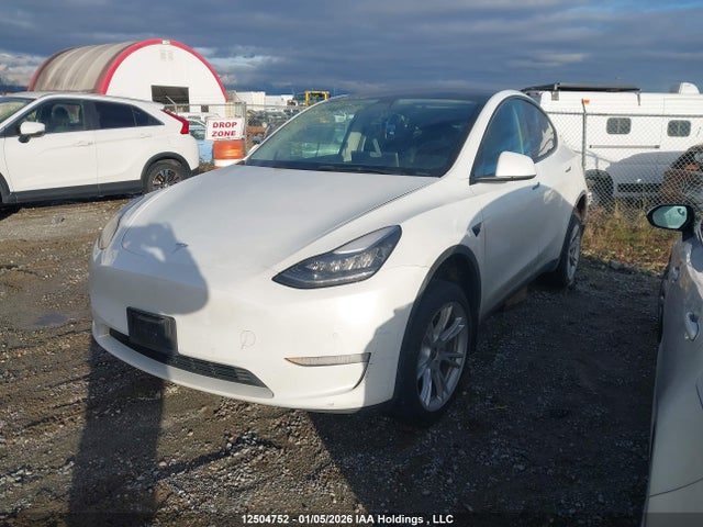 5YJYGDEE8MF089351 Tesla Model Y