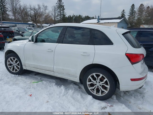 12504785 :رقم المزاد ، WA1VFCFP7DA031900 vin ، 2013 Audi Q5 Premium Plus مزاد بيع