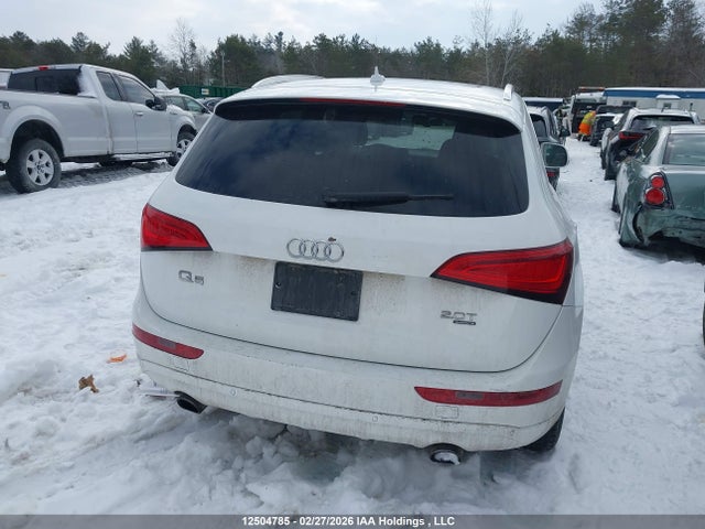 12504785 :رقم المزاد ، WA1VFCFP7DA031900 vin ، 2013 Audi Q5 Premium Plus مزاد بيع