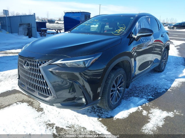 Lexus Nx 350h 350h 2024 2T2GKCEZ9RC027469 Image 2